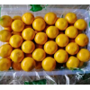 橘子 冰糖蜜桔 5斤装包邮 基地
