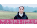 农村创业搞养殖 (534播放)