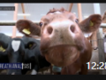 种养殖专业合作社需要什么手续 (780播放)